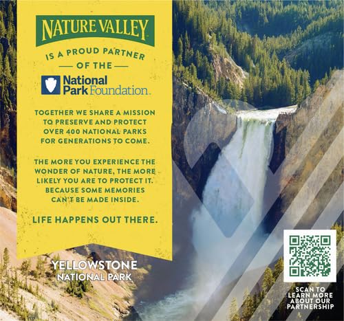 Nature Valley Chewy Protein Granola Bars, Peanut Butter Dark Chocolate, 10 Bars, 14.2 OZ