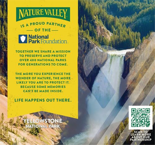 Nature Valley Chewy Protein Granola Bars, Peanut Butter Dark Chocolate, 10 Bars, 14.2 OZ