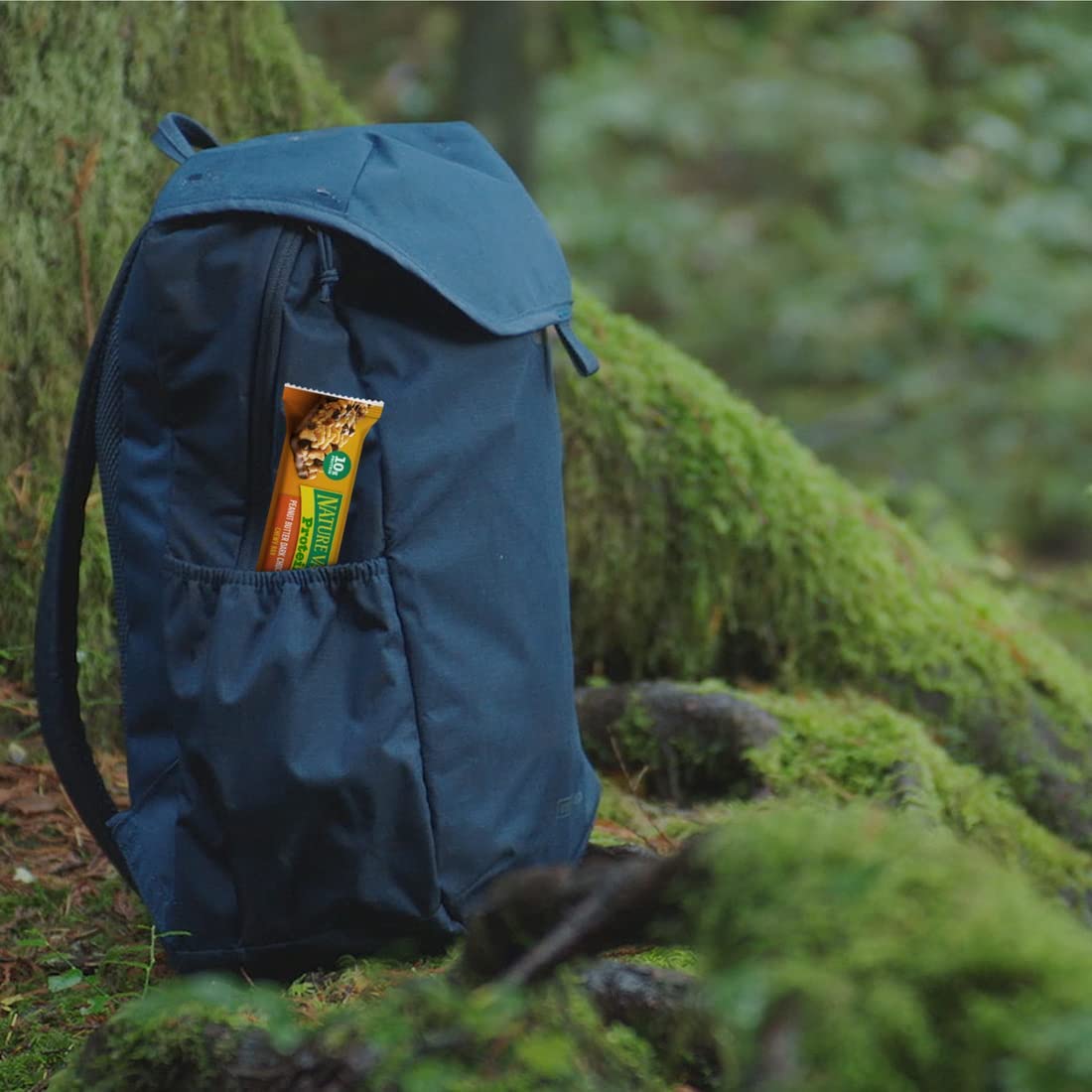 Nature Valley Chewy Protein Granola Bars, Peanut Butter Dark Chocolate, 10 Bars, 14.2 OZ