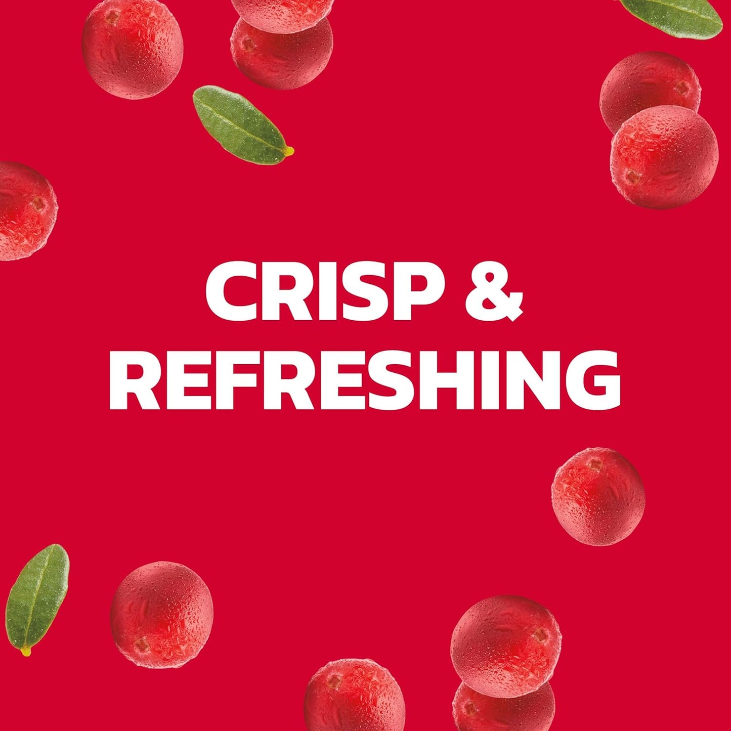 Ocean Spray® Sparkling Diet Cranberry Juice Drink, 11.5 Fl Oz Cans, 4 Count (Pack of 24)