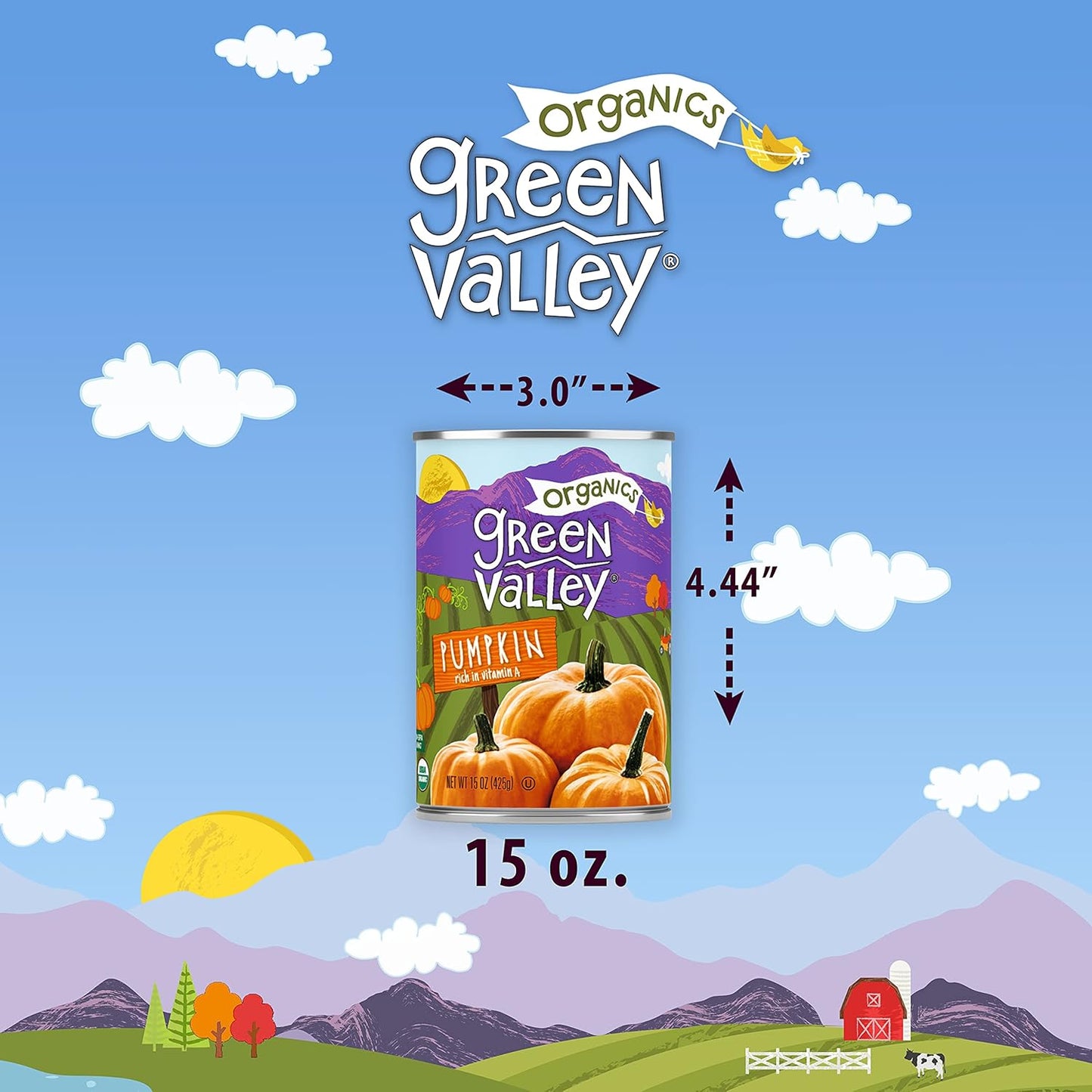 Green Valley Organics Pumpkin | Certified Organic | 100% Dickinson Variety | Sweet Earthy Delicious | Firm & Smooth | Vibrant Autumn Orange | American Grown & Made | 15 oz (Pack of 4)